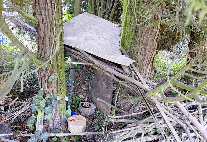 Unsere Bude: Hütten, Höhlen und Verstecke bauen